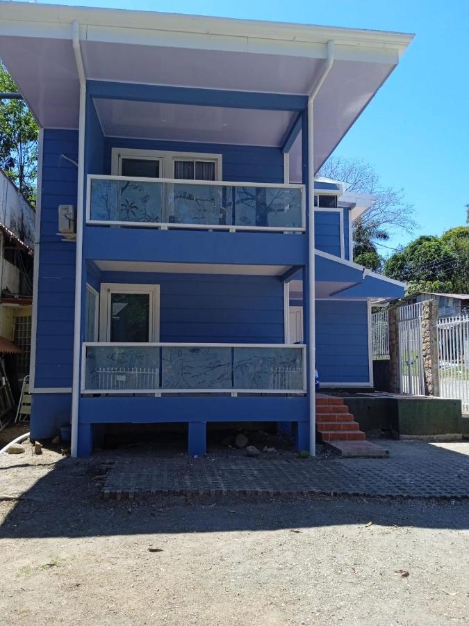 Mono Azul 3*