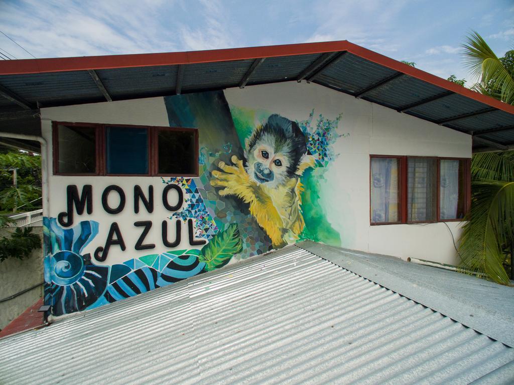 Mono Azul Quepos